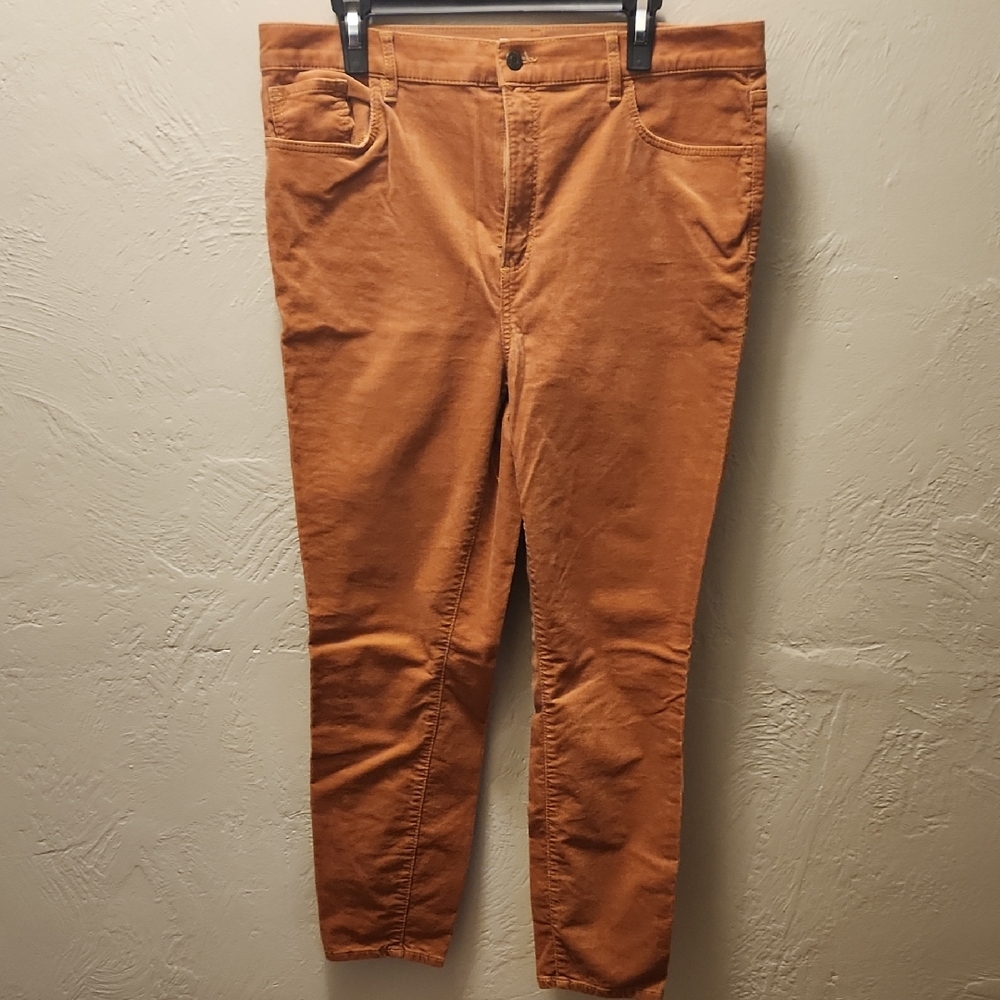 Rust Orange Pants - image 1